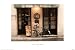 Ile St. Louis, Paris (Le Monde Des Chimeres) Art Poster Print - 24