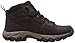 Columbia Men's Newton Ridge Plus II Hiking Boot