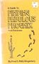 Finding Fabulous Phoenix