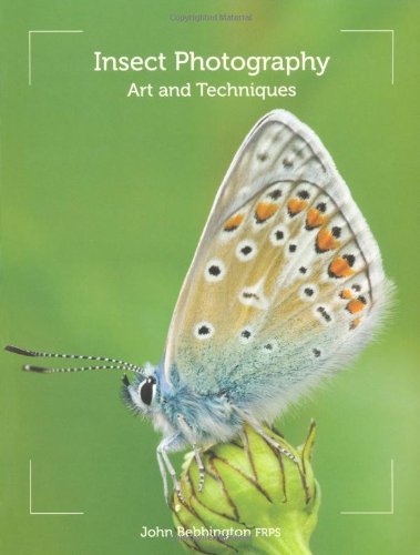 Insect Photography: Art and Techniques