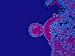 HIV AIDS Virus. Acquired Immune Deficiency Syndrome Photographic Poster Print, 16x12