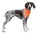 AKC Pet Safety Bandana with Reflective Stripes, Large, Orange