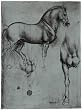 Leonardo da Vinci (Horse trials) Art Poster Print - 13x19
