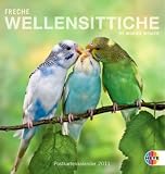 Freche Wellensittiche 2011. Postkartenkalender