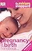 Pregnancy & Birth Handbook