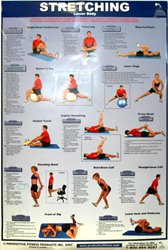 Power Systems Stretching Chart - Lower Body Reviews