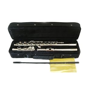 Hallelu HFL-200 Flute W/case Nickel Plated Keys