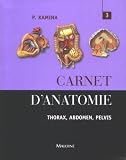 Carnet d'anatomie. : Tome 3 : Thorax, abdomen, pelvis