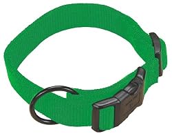 Hamilton 1-Inch Adjustable Dog Collar, Large, Fits 18-Inch by 26-Inch, Green