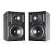 Truth B2031P Studio Monitor