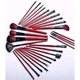 FASH Professional Quality 2011 Series Cosmetic Brush Set with Faux Leather Pouch, Goat and Raccoon, 28-Piece