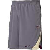 Nike Florida State Seminoles (FSU) Ash Training Shorts