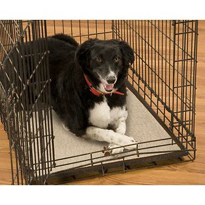 Dogs Unleashed Crate Comfort Pad, Medium, 28x36-in dog kennel