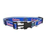 Pet Goods Small Collegiate  5/8-Inch by 10-Inch - 14-Inch  Dog Collar, University of Florida