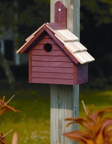 Oct-Avian Bird House in Redwood