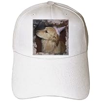 Dogs Golden Retriever - Golden Retriever - Caps