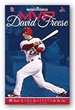 (22x34) St Louis Cardinals David Freese 2011 World Series MVP Sports Poster Print