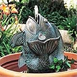 Water Pond Decor