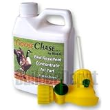Bird-X 1 Gal Repellent Goose Chase