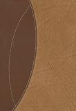 Zondervan TNIV Study Bible