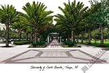 University of South Florida Lithograph