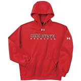 Under Armour Ohio State Buckeyes Performance Team Hood Sweatshirt