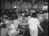 WWII Japanese Internment Camps in America on DVD