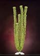 JW Pet Company Hornwort 17 in XXXLarge Aquarium Plant