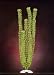JW Pet Company Hornwort 17 in XXXLarge Aquarium Plant