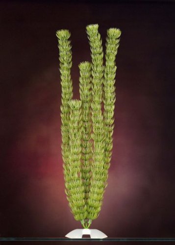 JW Pet Company Hornwort 17 in XXXLarge Aquarium Plant