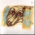 Zvezda - Dolphin (CD + DVD-PAL)