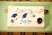 HomeBrew Electronics HBE FrostBite Analog Flanger