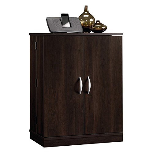 Beginnings Multimedia Storage Cabinet