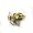 Amnesty International 50th Anniversary Pin (Gold)