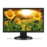NEC DISPLAY SOLUTIONS Enterprisemultisync20wide Led Desktop Display Technology Tft Active Matrix
