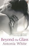 Beyond the Glass (Virago Modern Classics)