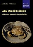 Lyby-Strand Fossilien: Sch&auml;tze aus D&auml;nemarks Limfjordgebiet - Axel Cordes, Dirk Dettmers