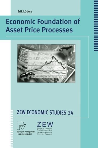 Economic Foundation of Asset Price Processes: 24 (ZEW Economic Studies)