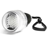 Photo : Fantasea 44 LED Flashlight with Clear Body, Depth Rated to 40 meters / 130 feet.