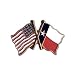 USA Flag and Texas Flag Lapel Pin