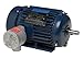Marathon Electric/Regal Beloit - 143TTGN6551-1 HP Hazardous Location Motor, 3-Phase, 1735 Nameplate RPM, 230/460 Voltage, Frame 143TC