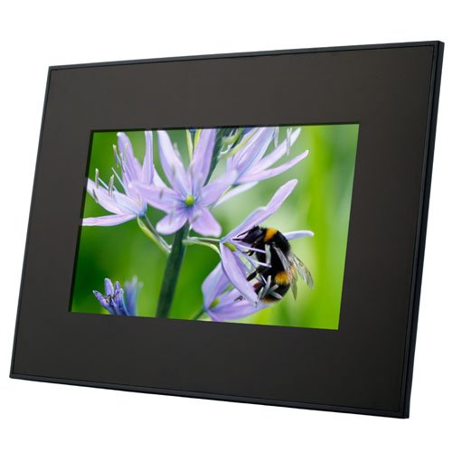Micca M701 7-Inch Digital Photo Frame (Black)