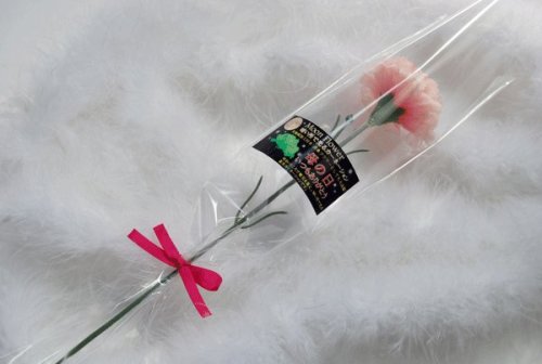 母の日　光るカーネーション　Moon Flower １輪花束　光触媒で消臭