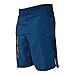 WarriorXGear Spartan Performance Cross-Training Shorts (Blue/Flag, 30)