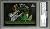 2010 PP Premium Danica Patrick Signed RC Rookie Trading Card Slabbed - PSA/DNA Certified - Autographed NASCAR Cards