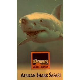 African Shark Safari