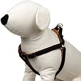 AKC Nylon Mesh Adjustable Dog Harness in Black
