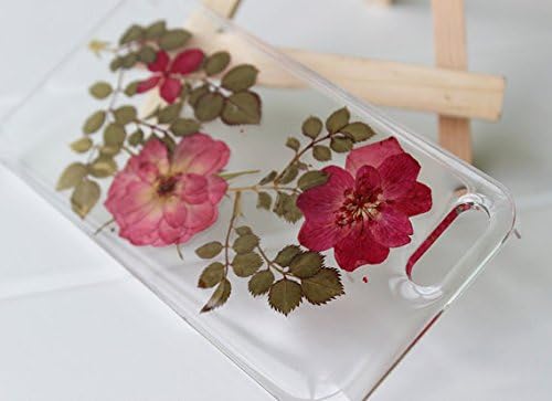 Real Dried Pressed Flowers Case for Iphone 6