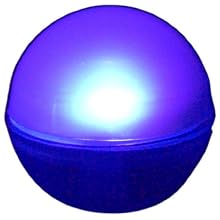 Fortune Products FB-1PP Fairy Berries Magical LED Light, 3/4" Diameter, Purple (Case of 10)