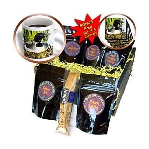 Birds - Loon Duck - Coffee Gift Baskets - Coffee Gift Basket by 3dRose LLC